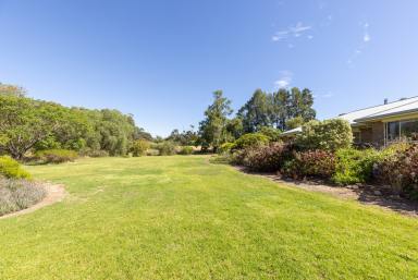 House For Sale - SA - Naracoorte - 5271 - Position and Potential - 5 acres with serene views  (Image 2)
