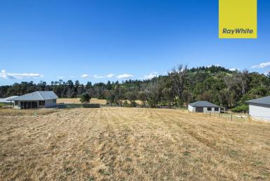 Residential Block For Sale - WA - Nannup - 6275 - 2,809sqm land, countryside views  (Image 2)
