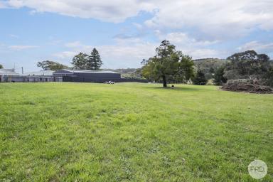 Residential Block For Sale - VIC - Brown Hill - 3350 - Sensational Large Allotment With Unlimited Potential  (Image 2)