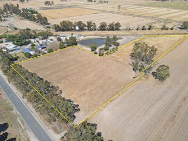 Residential Block For Sale - VIC - Murrabit - 3579 - Great sized block on the fringe of Town  (Image 2)