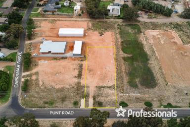 Residential Block Sold - NSW - Gol Gol - 2738 - Land for Sale in Gol Gol - Your Riverside Paradise!  (Image 2)