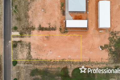 Residential Block Sold - NSW - Gol Gol - 2738 - Land for Sale in Gol Gol - Your Riverside Paradise!  (Image 2)