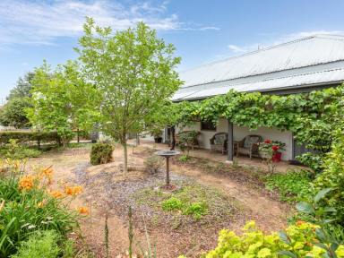 House Sold - NSW - Bega - 2550 - HISTORY & CHARM WITH A MODERN SURPRISE!  (Image 2)