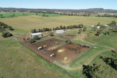 Mixed Farming Sold - QLD - Muniganeen - 4352 - KIAH MAROO
WELL IMPROVED, MIXED-USE PROPERTY WITH 2 IRRIGATION LICENCES  (Image 2)