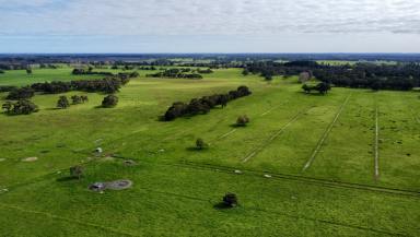 Other (Rural) For Sale - SA - Penola - 5277 - BANYULA - Sheltered Grazing with Pivot Irrigation  (Image 2)