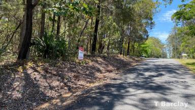 Residential Block For Sale - QLD - Lamb Island - 4184 - Land with Some Tree Cover, Soil Test, and Survey  (Image 2)