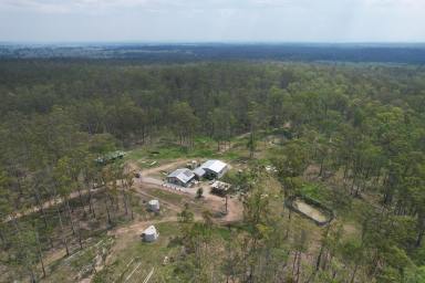 Lifestyle For Sale - NSW - Kyarran - 2460 - Welcome to your Tranquil Retreat  (Image 2)
