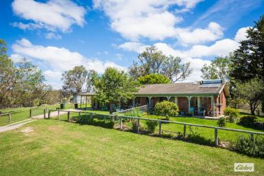 Acreage/Semi-rural Sold - NSW - Candelo - 2550 - ON THE BEND OF THE RIVER  (Image 2)