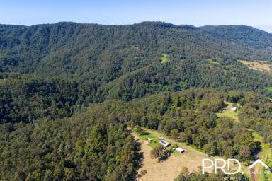 Lifestyle For Sale - NSW - Boorabee Park - 2480 - Two distinct sides to this beautiful 100 acre lifestyle property  (Image 2)