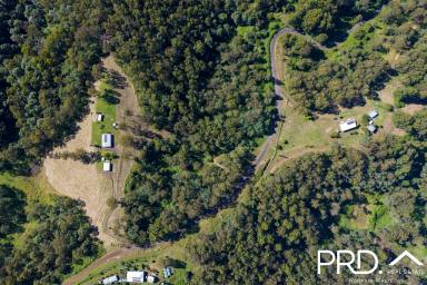 Lifestyle For Sale - NSW - Boorabee Park - 2480 - Two distinct sides to this beautiful 100 acre lifestyle property  (Image 2)