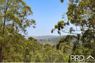 Lifestyle For Sale - NSW - Boorabee Park - 2480 - Two distinct sides to this beautiful 100 acre lifestyle property  (Image 2)