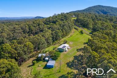 Lifestyle For Sale - NSW - Boorabee Park - 2480 - Two distinct sides to this beautiful 100 acre lifestyle property  (Image 2)