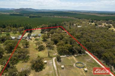 House For Sale - SA - Cromer - 5235 - HORSE LOVERS PARADISE, 20 ACRES, 12 PADDOCKS, BIG SHEDS AND SOLID BRICK HOME  (Image 2)