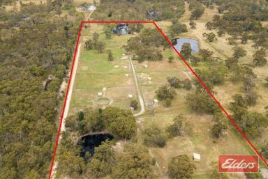 House For Sale - SA - Cromer - 5235 - HORSE LOVERS PARADISE, 20 ACRES, 12 PADDOCKS, BIG SHEDS AND SOLID BRICK HOME  (Image 2)