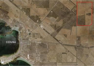 Cropping Sold - SA - Ceduna - 5690 - FOR SALE - 1635 ACRES + first right to lease further 4,250ac  (Image 2)