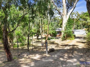 House Sold - SA - Birdwood - 5234 - Affordable home. Excellent position, large block, double brick, established trees and ripe for renovation.  (Image 2)