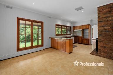 House Sold - VIC - Hoddles Creek - 3139 - SECLUDED SERENITY  (Image 2)