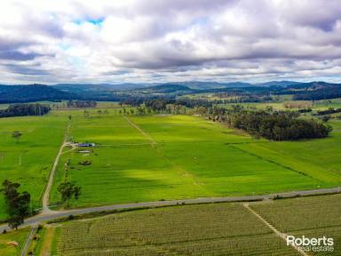 Mixed Farming For Sale - TAS - Sidmouth - 7270 - Ideal Farming - Agriculture, Horticulture, Dairy or Livestock  (Image 2)