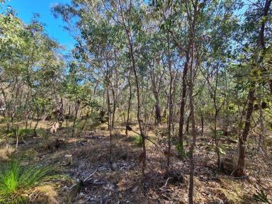 Residential Block For Sale - QLD - Baffle Creek - 4674 - 152 ACRES (61.82 HA) OF NATURAL BUSHLAND  (Image 2)