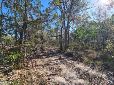 Residential Block For Sale - QLD - Baffle Creek - 4674 - 152 ACRES (61.82 HA) OF NATURAL BUSHLAND  (Image 2)