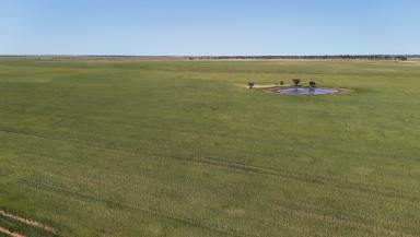 Mixed Farming For Sale - WA - Ogilvie - 6535 - Terara | Ogilvie WA  (Image 2)