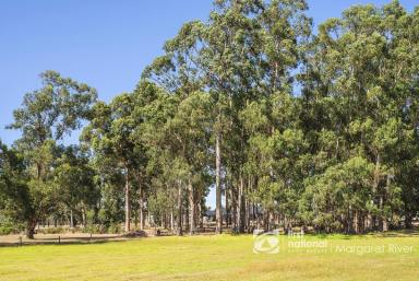 Residential Block For Sale - WA - Witchcliffe - 6286 - MASSIVE 8.6 ACRES DOWN SOUTH LOT WITH BIG DAM  (Image 2)