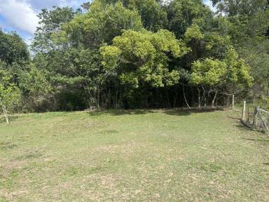 Residential Block For Sale - QLD - Chatsworth - 4570 - 1 1/2 ACRE BLOCK WITH COUNTRY CHARM  (Image 2)