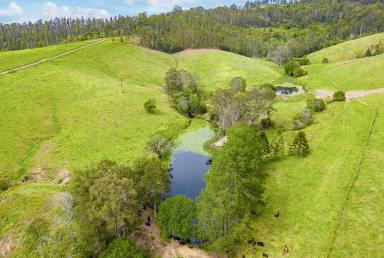 House For Sale - NSW - Talarm - 2447 - A Rural Holding of 92.45 Ha (228.5 Acres)  (Image 2)