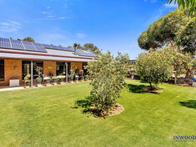 Lifestyle For Sale - SA - Mount Pleasant - 5235 - 36.78 Ha of country excellence. Sheds, gardens, quality home, excellent fencing and bore. Exceptional lifestyle property to be proud to own.  (Image 2)