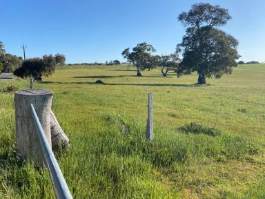 Residential Block For Sale - SA - Eden Valley - 5235 - 65 Ha, water licence, boutique vineyard, quality land close to Barossa. Your country residence awaits (STCC).  (Image 2)