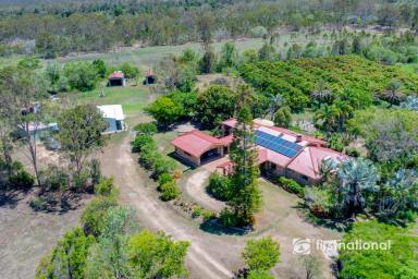 Acreage/Semi-rural For Sale - QLD - Baffle Creek - 4674 - 1.5 KM CREEK FRONTAGE - 113 ACRES – 2 DWELLINGS – EXTREMELY PRIVATE  (Image 2)
