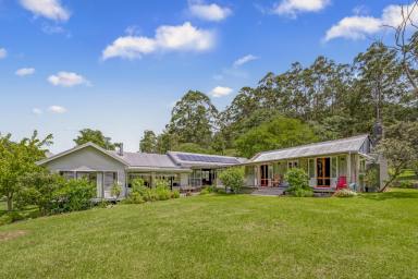 Lifestyle For Sale - NSW - Singleton - 2330 - "She Oaks" - Picturesque Country Living at Carrowbrook  (Image 2)