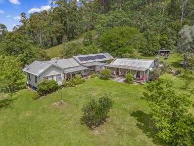 Lifestyle For Sale - NSW - Singleton - 2330 - "She Oaks" - Picturesque Country Living at Carrowbrook  (Image 2)