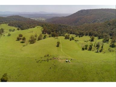 Lifestyle For Sale - NSW - Willina - 2423 - Livestock on 428 Acres Near Coast; Family Home with Pool  (Image 2)