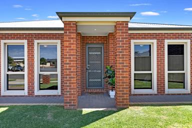 House Sold - VIC - Mildura - 3500 - Fabulous Home with Great Shed  (Image 2)