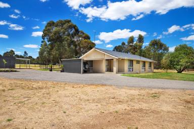 House For Sale - VIC - Daisy Hill - 3465 - 4.00HA (9.88 Acres) A Horse Lovers Paradise - Fully Refreshed & Updated Inside & Out  (Image 2)