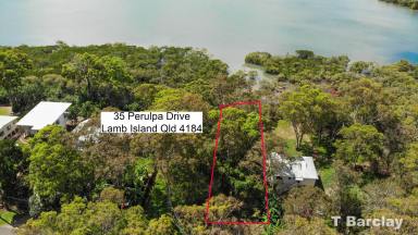 Residential Block For Sale - QLD - Lamb Island - 4184 - Absolute Waterfront Land,  Huge 1024m2 Size  (Image 2)