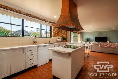 House For Sale - NSW - Glen Innes - 2370 - A Solid Family Home in Glen Innes  (Image 2)