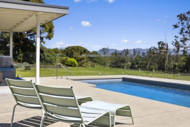 Acreage/Semi-rural For Sale - NSW - Bellingen - 2454 - Superb Lifestyle Property – Accommodation Options - Stunning Views - Bellinger River Frontage  (Image 2)
