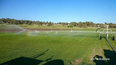 Horticulture Sold - NSW - Inverell - 2360 - IRRIGATION WITH WATER SECURITY  (Image 2)