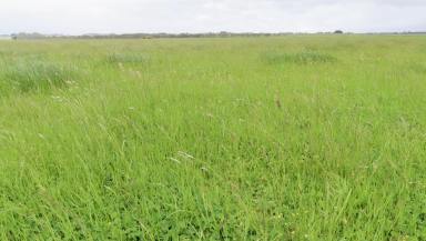 Other (Rural) For Sale - VIC - Macarthur - 3286 - An Evergreen Grazing Powerhouse  (Image 2)