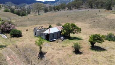 Residential Block For Sale - nsw - Stewarts Brook - 2337 - 49 Acres with a Dwelling Entitlement  (Image 2)