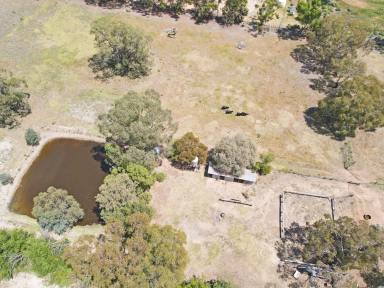 Residential Block For Sale - NSW - Wakool - 2710 - Where the Rivers Run  (Image 2)