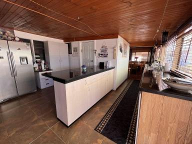House For Sale - NSW - Lightning Ridge - 2834 - Lovely camp overlooking the Coocran  (Image 2)