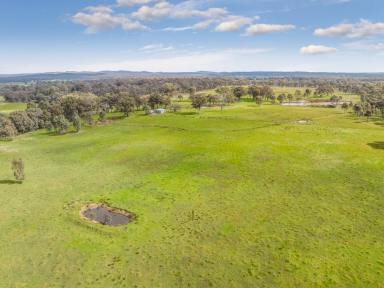 Lifestyle For Sale - VIC - Axe Creek - 3551 - Significant Land Banking / Development Opportunity  (Image 2)