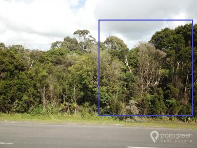 Residential Block For Sale - VIC - Walkerville - 3956 - SECURE YOUR OWN PIECE OF WALKERVILLE  (Image 2)