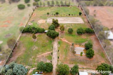 House Sold - NSW - San Isidore - 2650 - Horse lovers paradise  (Image 2)