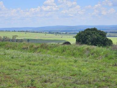 Residential Block For Sale - QLD - Tablelands - 4605 - RED SOIL PADDOCK  (Image 2)