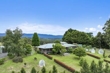 House For Sale - VIC - Icy Creek - 3833 - TWO DWELLINGS - SUPERB MOUNTAIN BACKDROP  (Image 2)