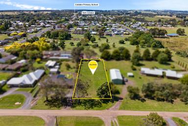 Residential Block For Sale - VIC - Cobden - 3266 - Big Block - Big Opportunity  (Image 2)